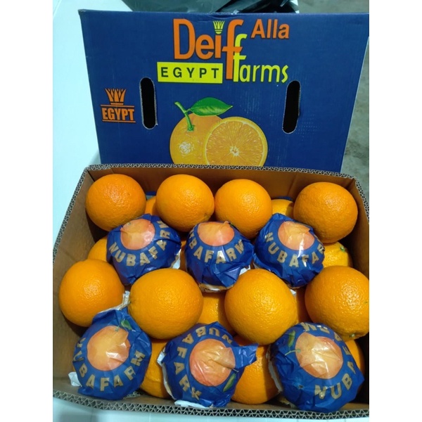 

Sunkist Valencia [ 3 pcs ]