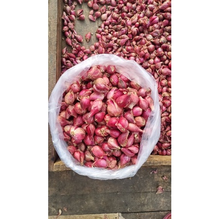 

Bawang Merah Brebes Besar Jumbo 1 Kg Fresh