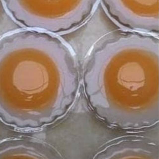 Jual Mika puding telor ceplok 100pcs Indonesia