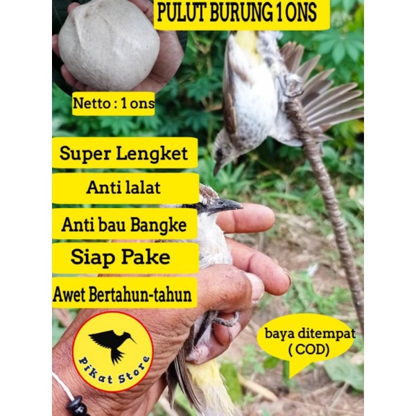 LEM PULUT BURUNG LEM BURUNG PULUT BURUNG LEM PIKAT BURUNG PULUT PIKAT BURUNG GETAH BENDO GETAH KARET