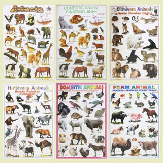 Poster Edukasi Anak Mainan Edukasi Anak Lembaran animal domestic animal binatang jinak carnivora herbivora