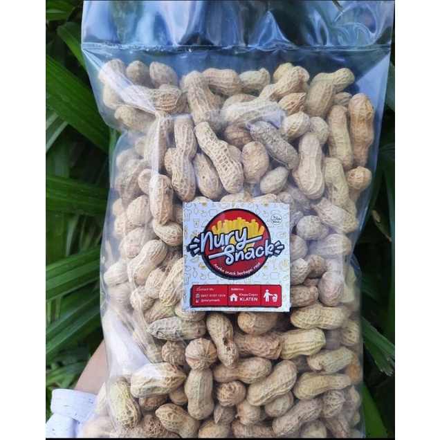 

kacang kulit oven