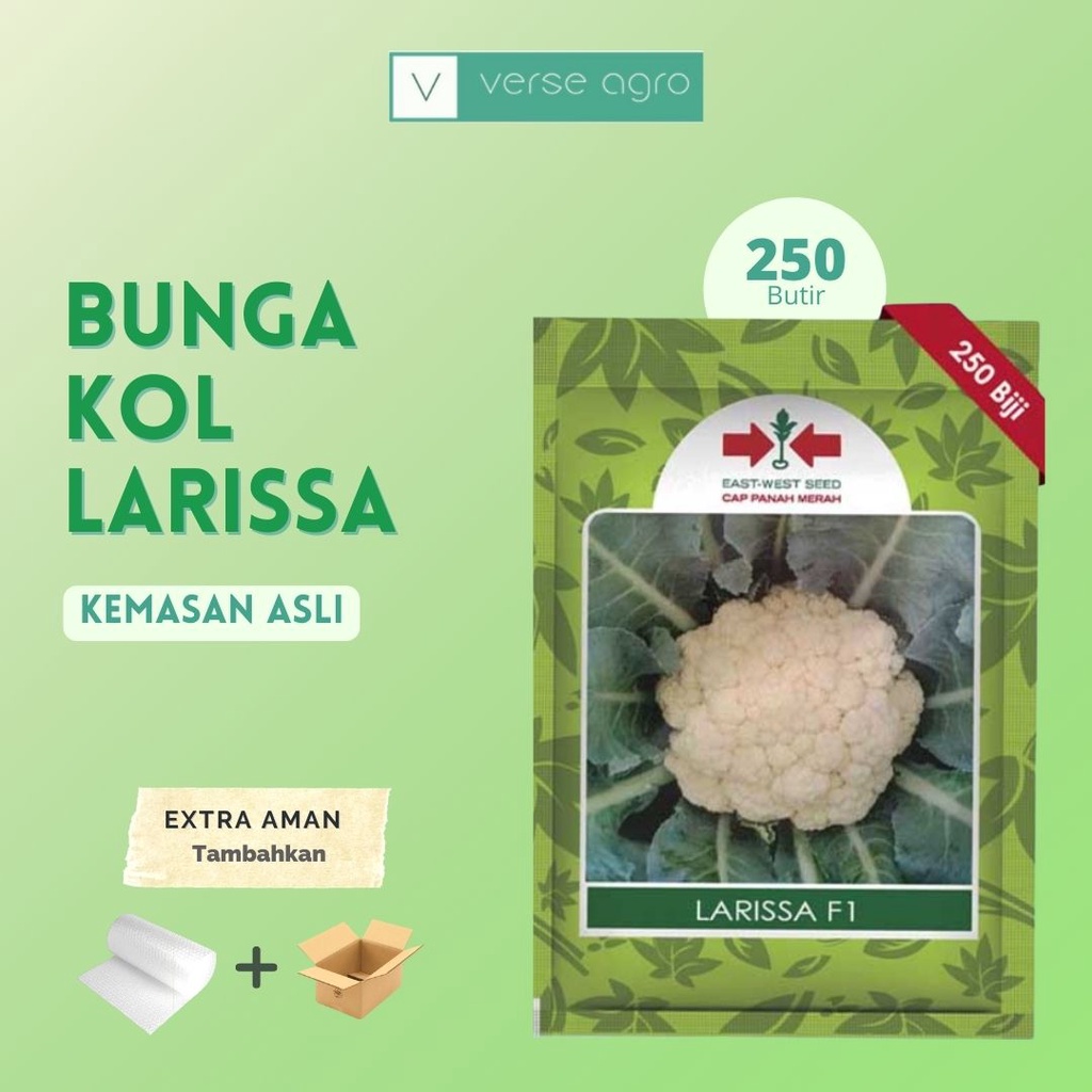 Jual Benih Bibit Bunga Kol Larissa F Butir Cap Panah Merah Kemasan