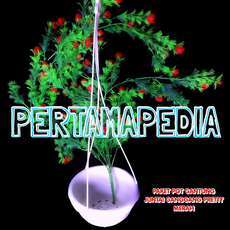 PAKET JUNTAI GANGGANG PRETTY PRITI+POT GANTUNG/Bunga Plastik/Daun Rambat Plastik/Busa Bunga/Dekorasi-POTGANT+GGPRETYMERAH