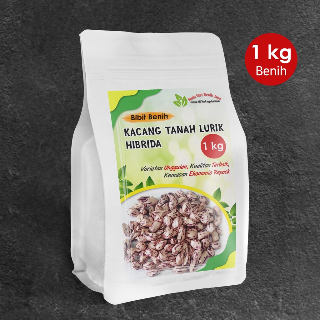 Bibit kacang tanah 1 kg lurik madu / benih lacang tanah hibrida