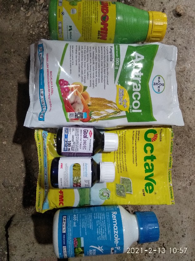 Fungisida Antracol 500 Gr