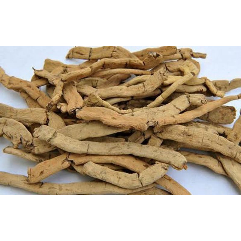 

50gr 巴戟天 Ba Ji Tian Morinda Officinalis Morinda Root Radix Morindae Officinalis