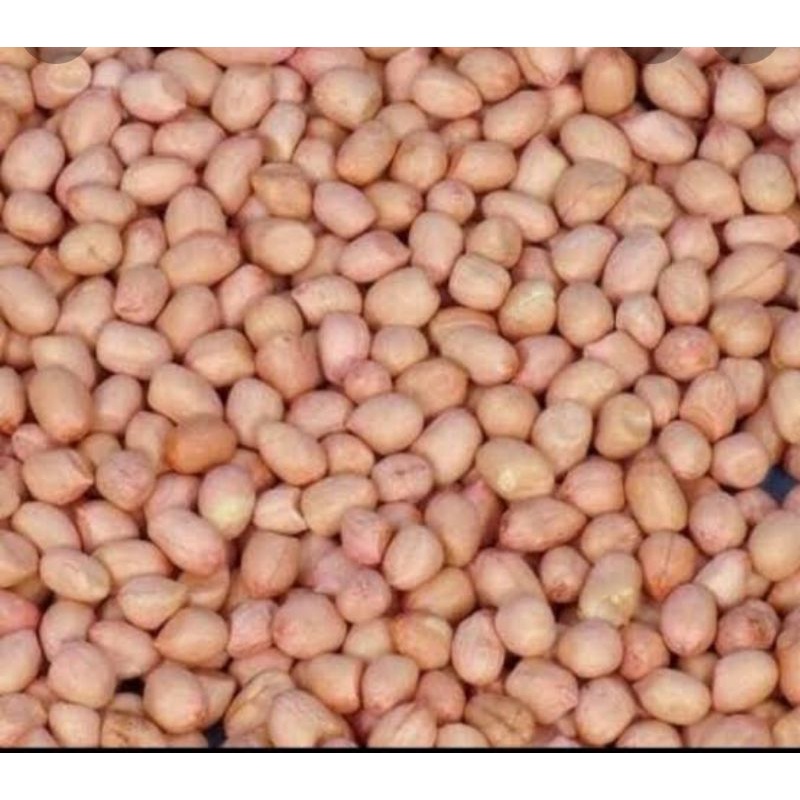 

Kacang Kulit/Kacang Tanah 500gram