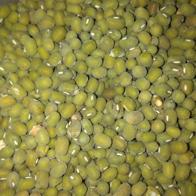 

Kacang hijau 250 g