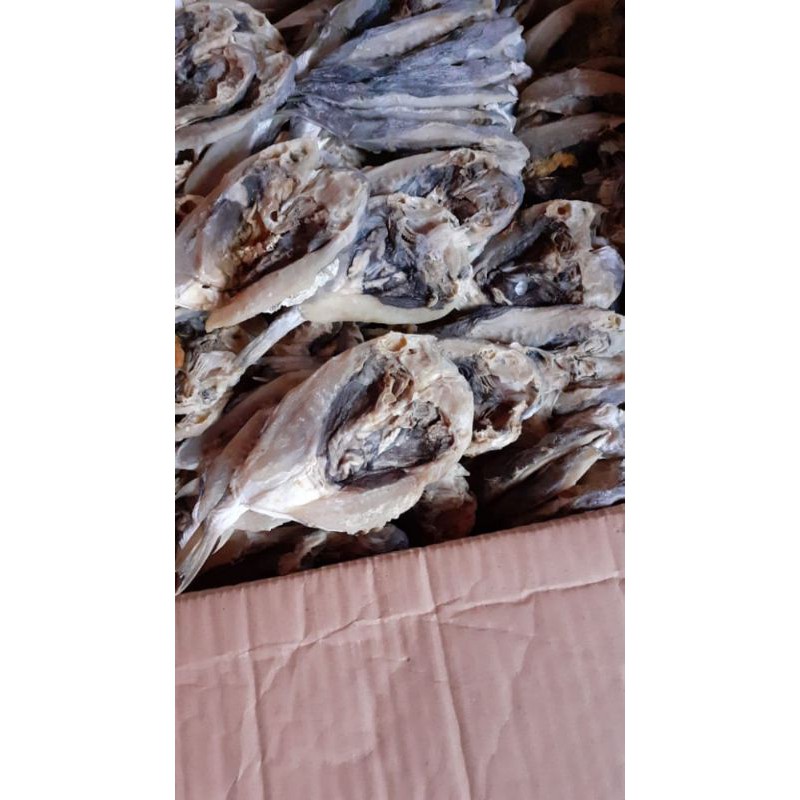 

IkanBuntekAsinKering