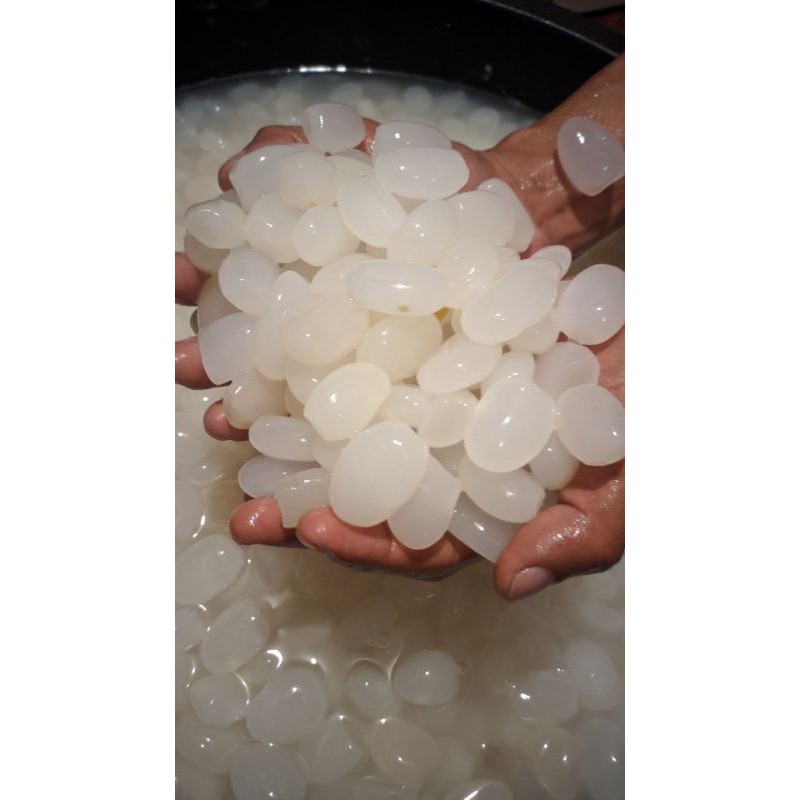 

Kolang Kaling Lokal Fress Empuk Mantul 1 Kg