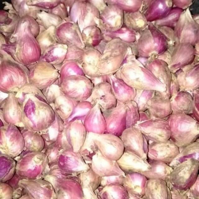 

Bawang merah Brebes 500g