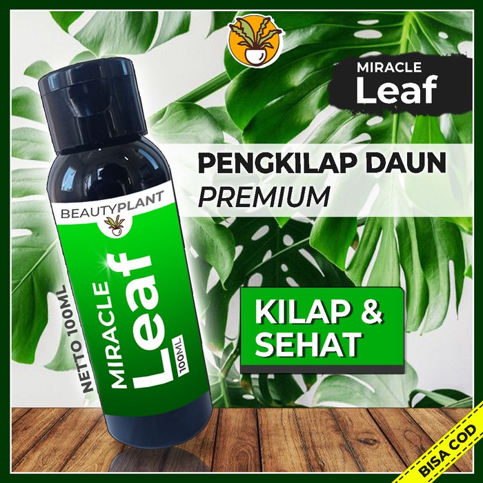 Pengkilap Daun Tanaman Hias Kilap Daun Organik Semir Daun Organik