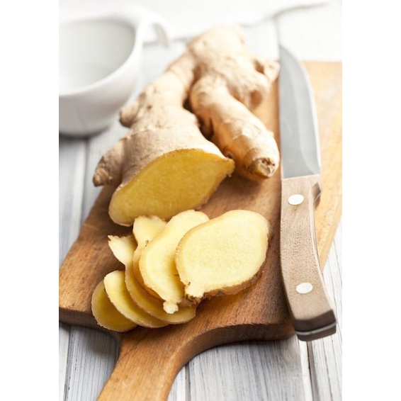 

Jahe BesarJahe Gajah 1Kg