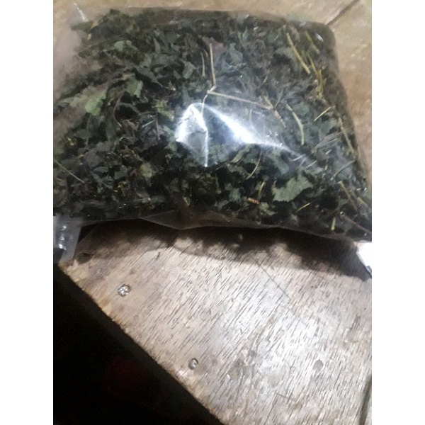 

daun pariparang dieng