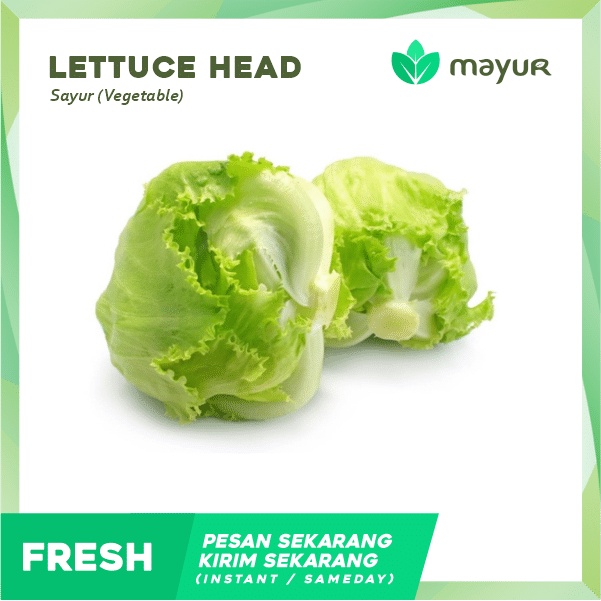 

Lettuce Head 1 pcs