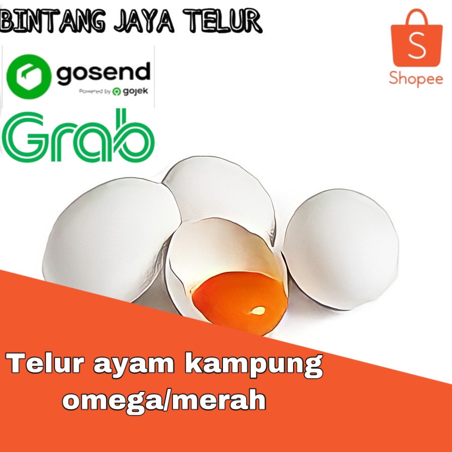 

TELUR AYAM KAMPUNG OMEGA 3