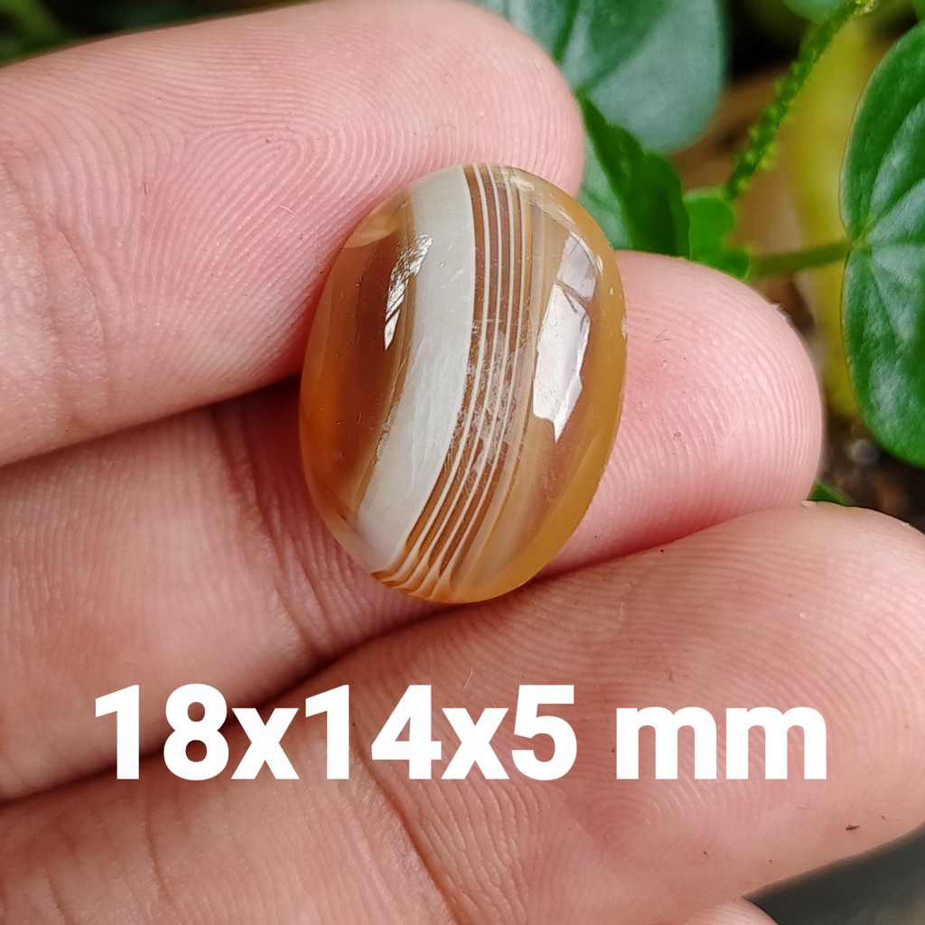 batu antik ginggang asli alam bkn giok yakut cincin pria akik pancawarna kalimaya