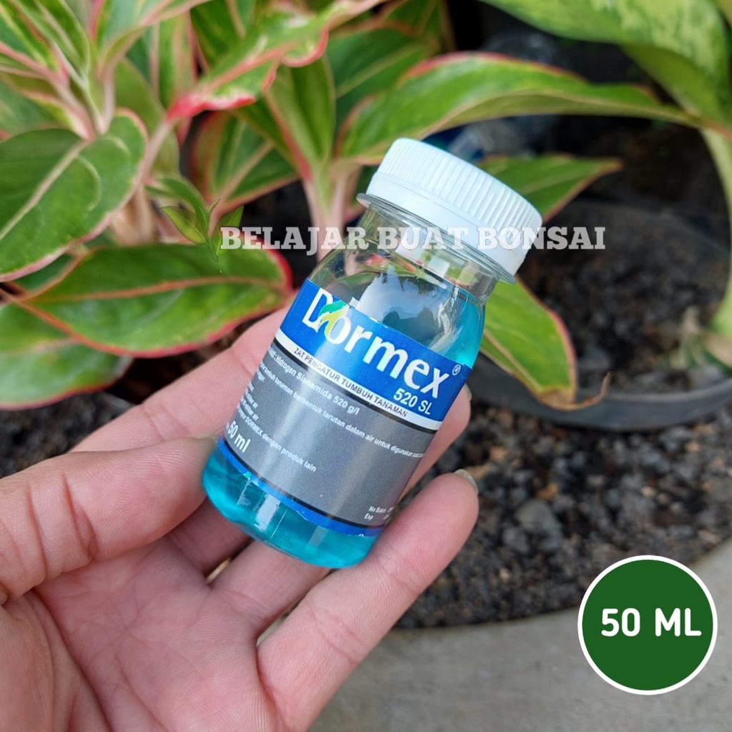 Dormex 520 SL Pupuk ZPT Anggur Dan Apel Kemasan Repack 50ml