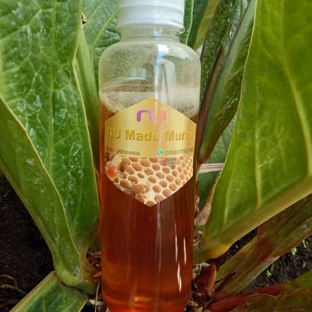 

MADU MENTAH ALAMI MURNI ASLI isi bersih 300gr