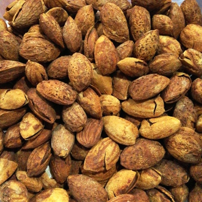 

1 kg kacang almond cangkang (masih ada kulit) USA