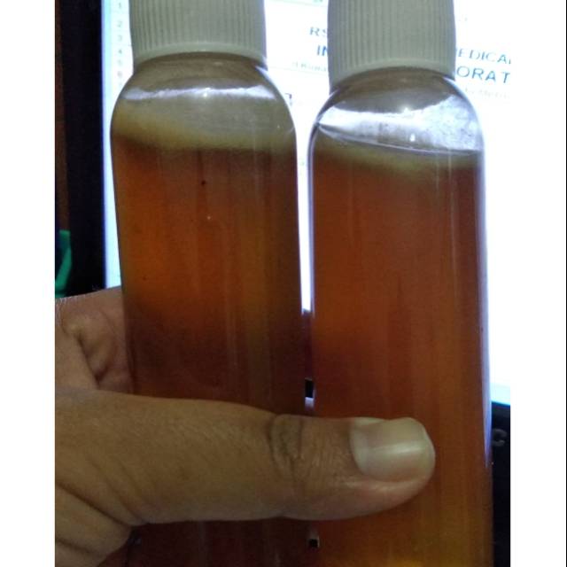 

MADU HUTAN ASLI