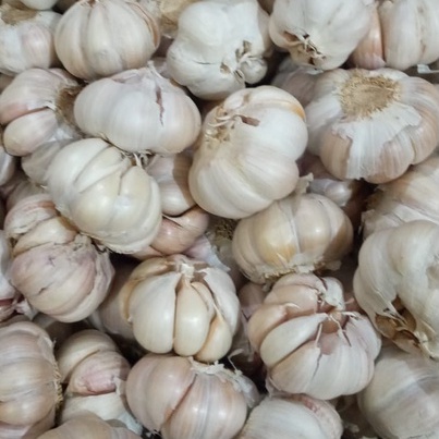

BAWANG PUTIH HONAN MURAH 250gr