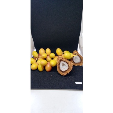 

paket promil kurma muda + buah zuriat
