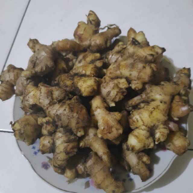 

Jahe emprit Kw 1
