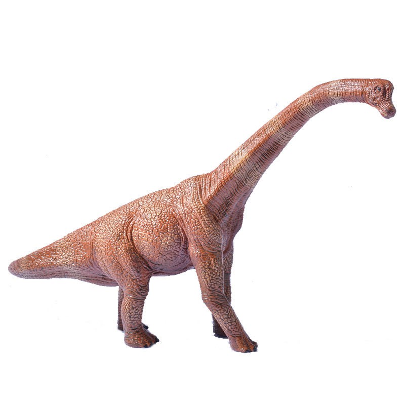 Brachiosaurus Brontosaurus Figure Dinosaurus Model Simulasi Dino