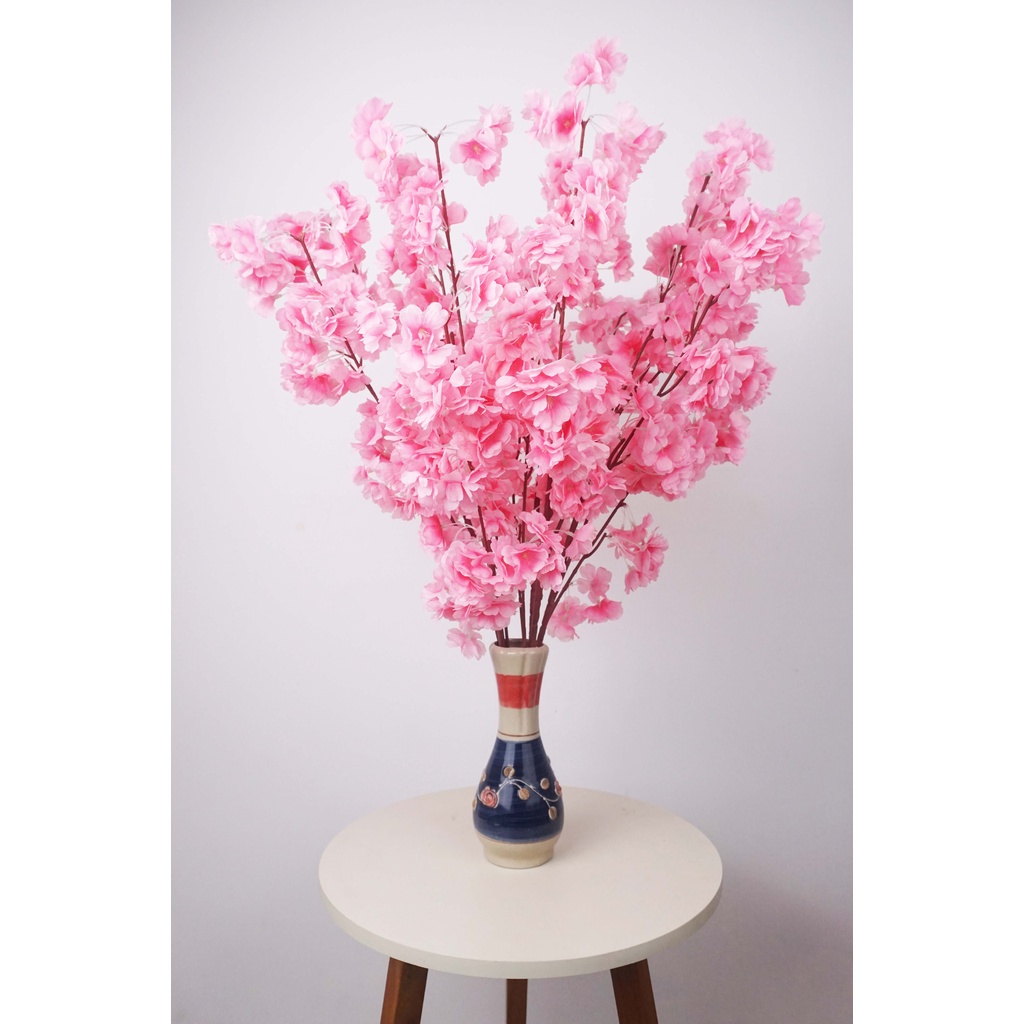 POHON SINCIA BUNGA SAKURA MEIHUA IMLEK BESAR TINGGI MURAH MERAH PINK
