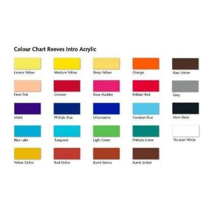 

IREADYl reeves intro cat acrylic 120ml