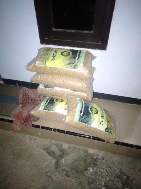 Benih Padi Unggul Indrida Sertani 14 Bibit Padi