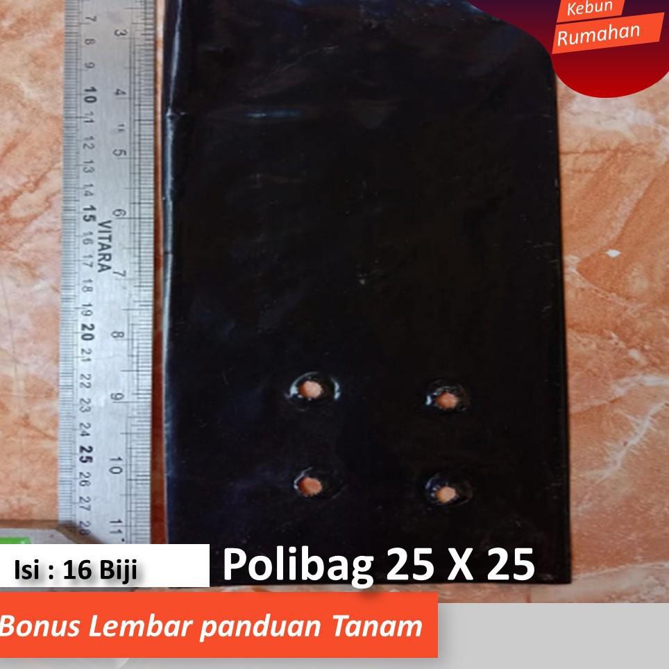 Grosir Polibag Polybag Tanaman Peralatan Berkebun Ukuran 25 X 25 Cm