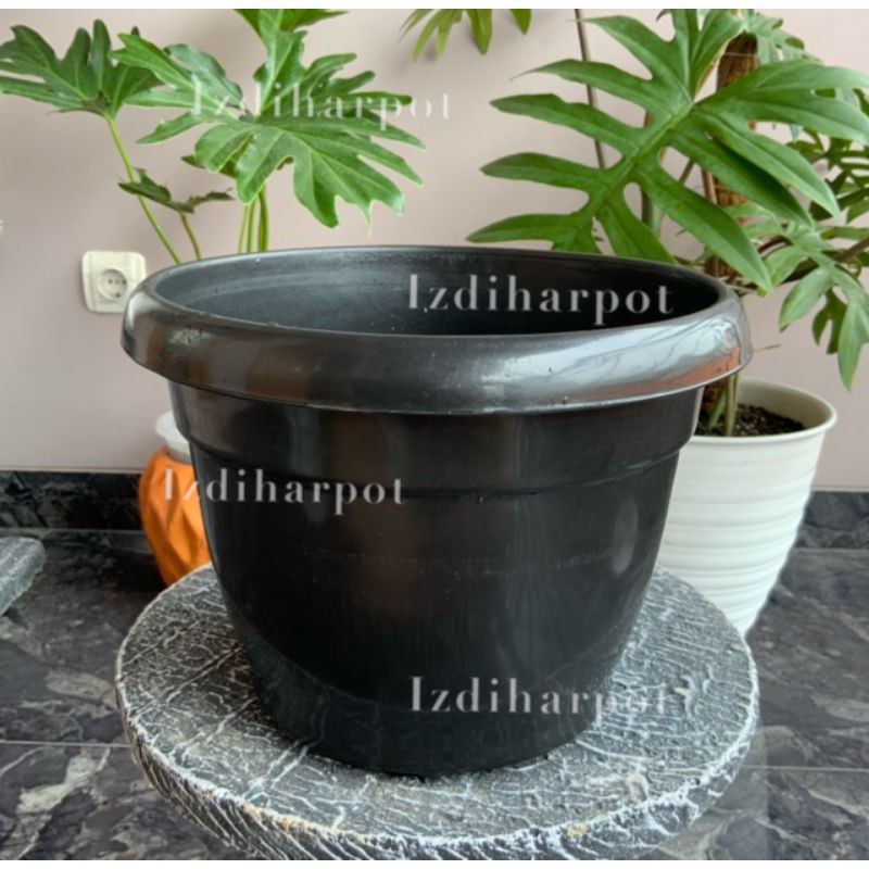 pot bunga tanaman plastik hitam tulip 25cm kuping - global lion