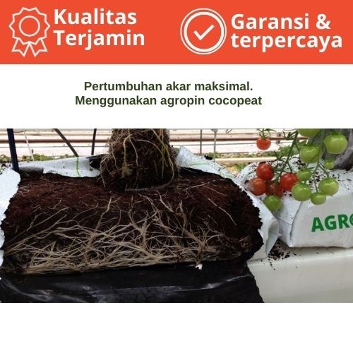 Penganti rock wool Coco peat slab hydroponic drip irrigation system