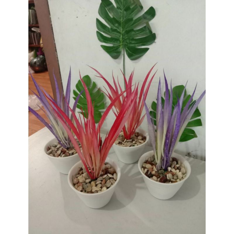 Khiasan Dekorasi Daun Jalar Artificial Warna / Tanaman Artificial