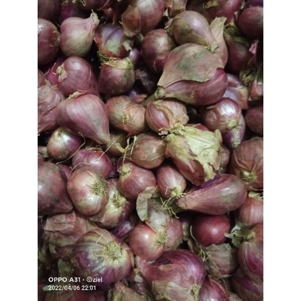 

bawang merah brebes