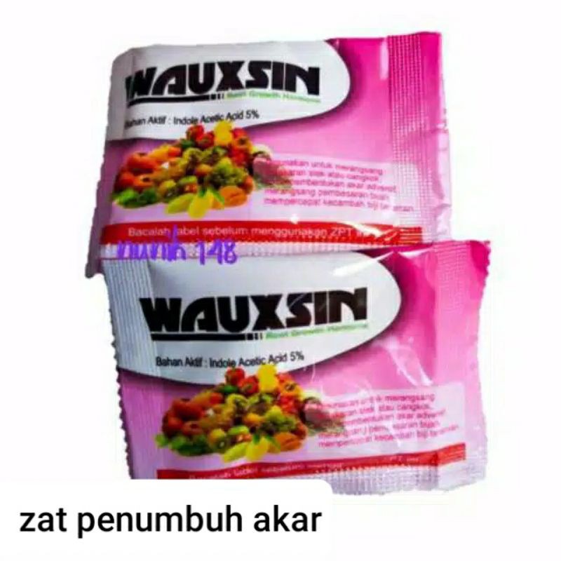 Obat penumbuh akar wauksin...2 gr