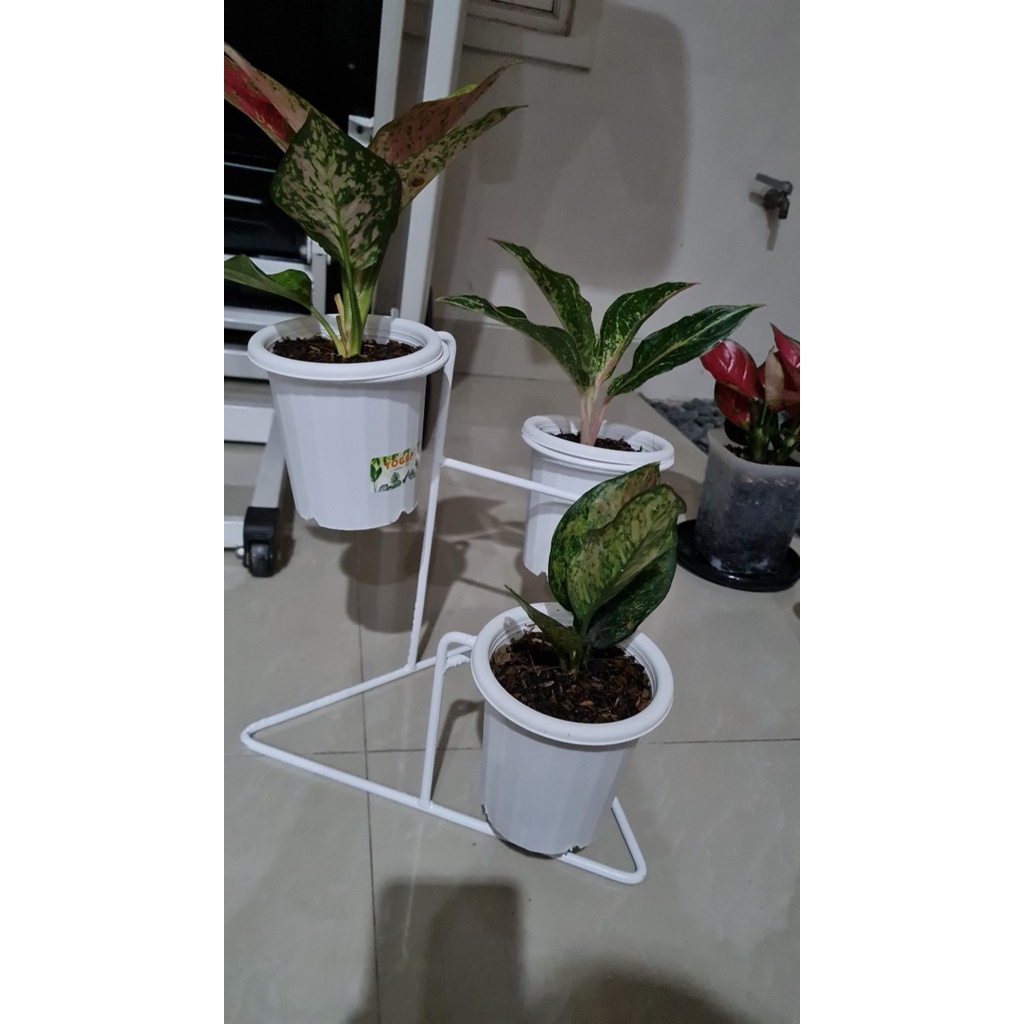 A75 STANDING POT MURAH BERDIRI BAWAH SEGITIGA NEW MODEL / RAK POT / RAK STANDING POT D 15CM