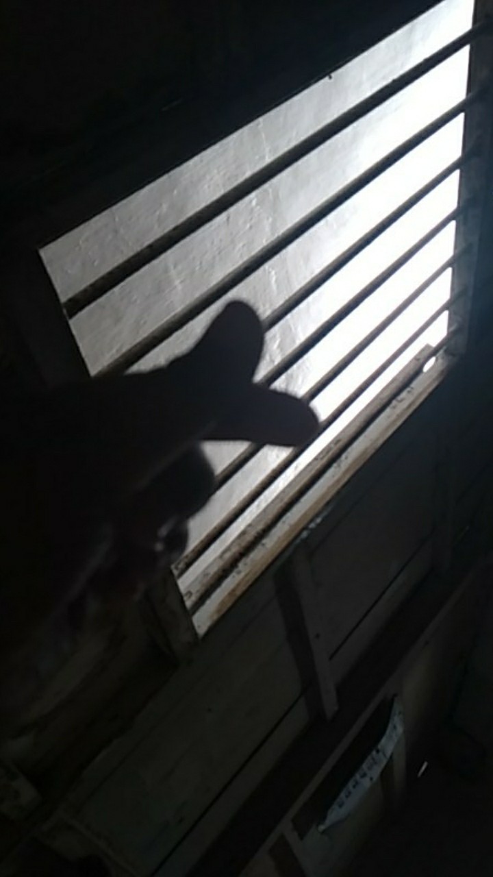 Kimia Pa Salmonella Shigella Agar Cm0099 Oxoid Ecer 10 Gram