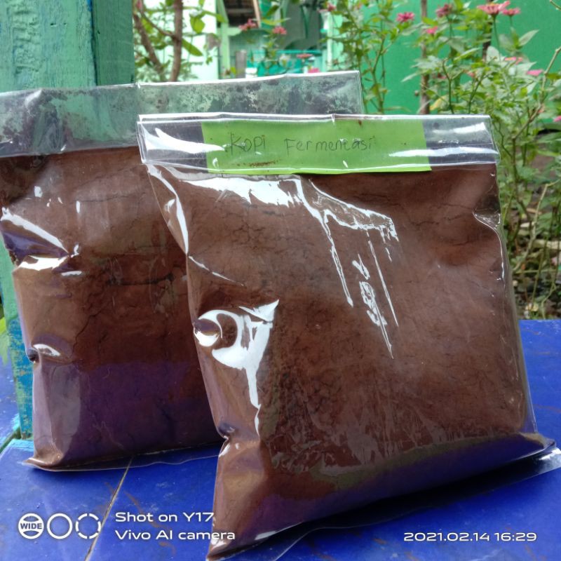 

KOPI ROBUSTA KOPI MURNI TANPA CAMPURAN kopi temanggung