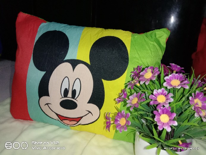 Bantal Pelangi Karakter Mc Queen/cars Bahan Polimikro