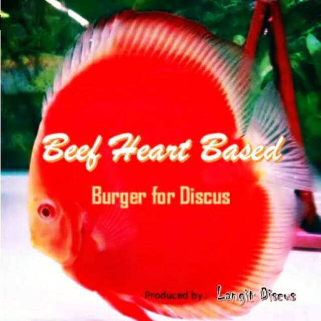

Burger fish frozen food