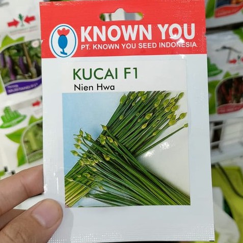 KYS - benih KUCAI NIEN HWA isi 80 biji - bibit kucai - known you seed