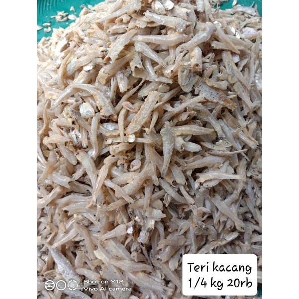 

Teri kacang bulat