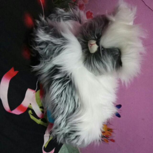 Tempat Tissue Motif Kucing