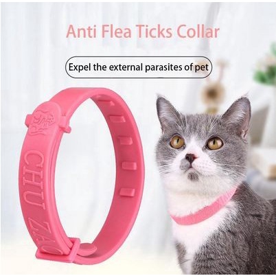 Anti Flea Ticks Collar - Kalung Pelindung Kutu