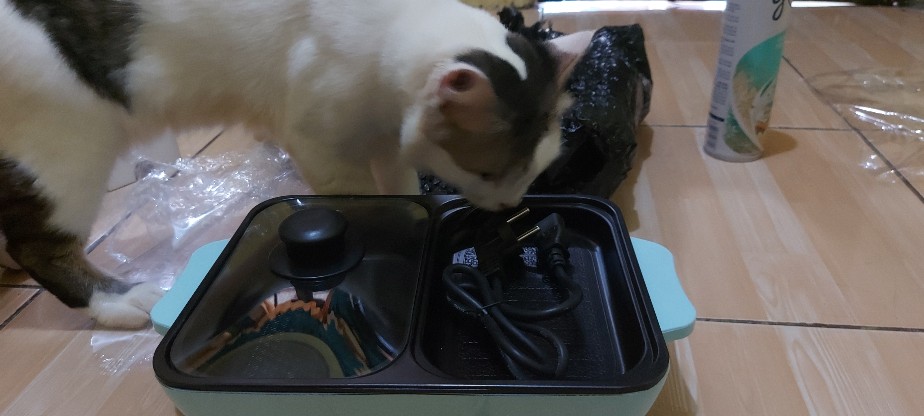 Ygs-mini Electric Hotpot / Steamboat & Grill Pan / Bbq Multifungsi 2in1