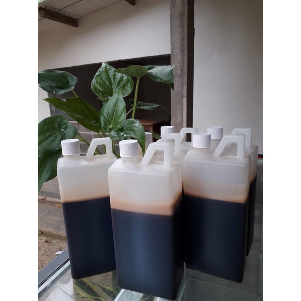 

madu asli hutan Jambi